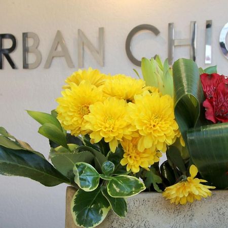 Urban Chic Boutique Hotel & Cafe Кейптаун Екстериор снимка